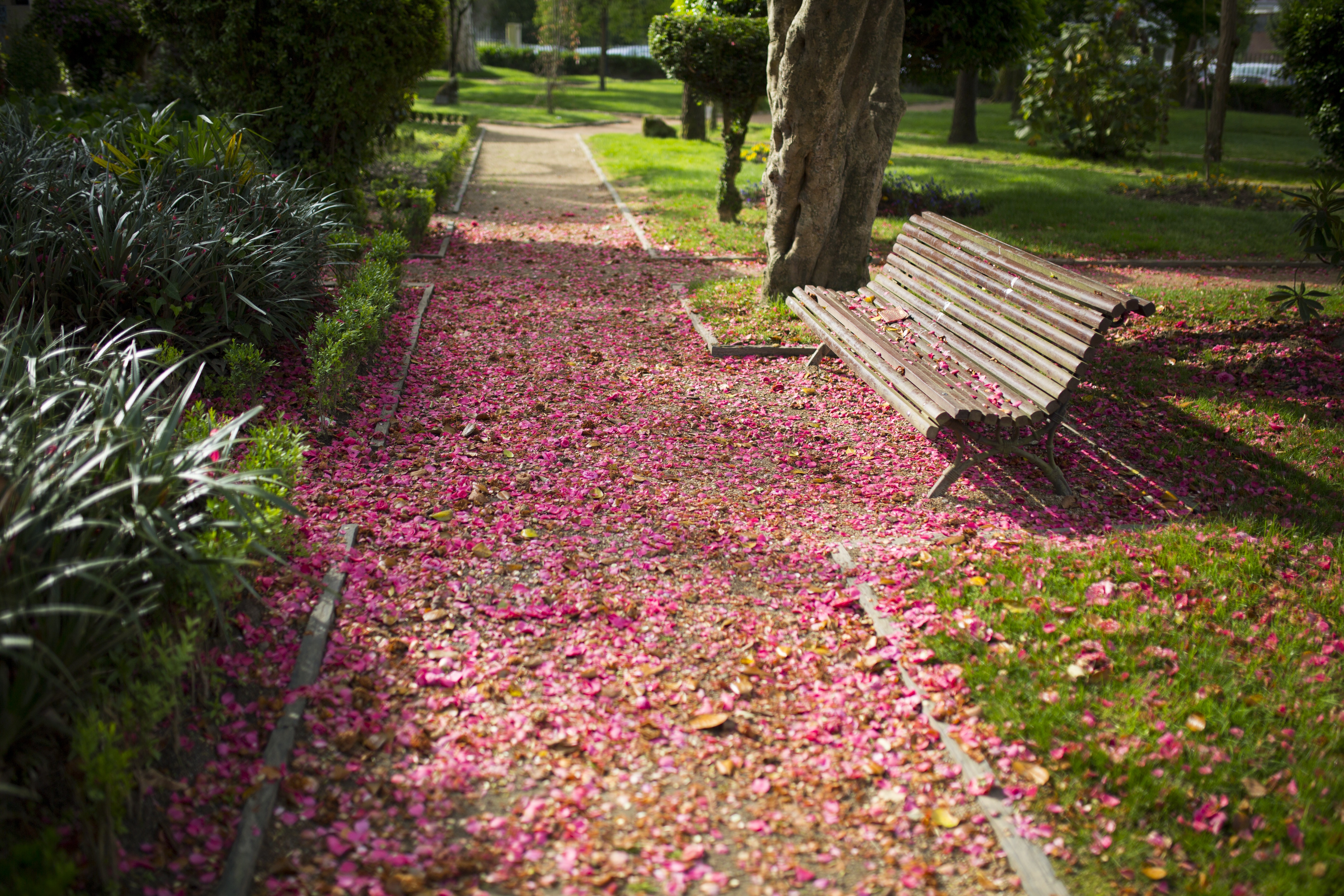 Roteiro Literario "Camilo José Cela en Padrón nº2"