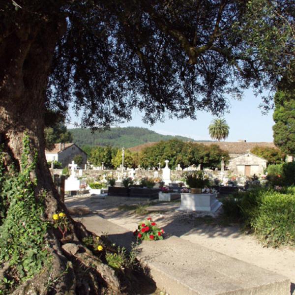 Tumba de CJC debajo de un Olivo en el cementerio de Adina. ©